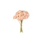 BOUQUET SHOLA BEAUTY PEACH SMALL - 6cm