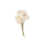BOUQUET SHOLA BEAUTY WHITE SMALL  - 6cm