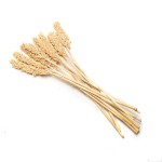 INDIAN WHITE CORN BLD