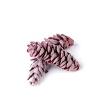 STROBUS RED FLOCK 10cm - 25cm