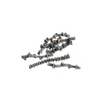 BANANA STEM CUT GREEN TIP