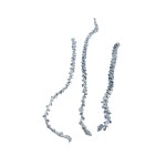 BANANA STEM FLOCK BLACK