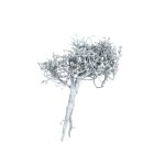 DRY TREE GREY-WHITE WASHED