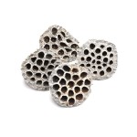 LOTOS LARGE WHITE WASHED