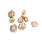 SANT FRUIT GOLD / PLATINUM