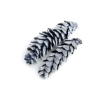 STROBUS BLACK FLOCK 10cm - 25cm