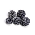 PINE CONE FLOCK BLACK