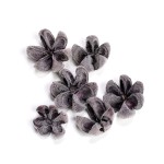 WILD ORANGE FLOCK BLACK