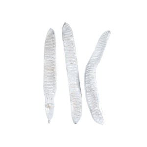 MACHETE STEP FRUIT GREY-WHITE WASHED