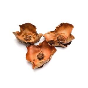 PALM CUP LAKIEROWANY