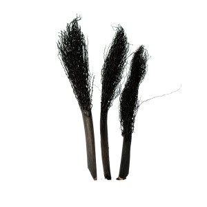 PALM JHAT / KHAJUR JHAR - BLACK