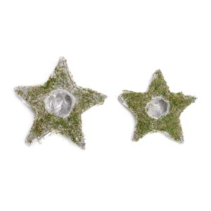 TX201724B/2 - OSŁONKA, POJEMNIK, PODSTAWA DO KOMPOZYCJI GWIAZDA