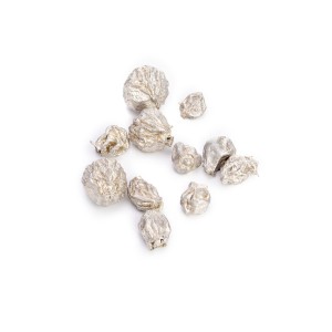 SANT FRUIT SILVER / PLATINUM