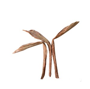 SHOE HORN STICK ORANGE-WHITE WASHED