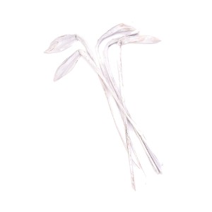 SHOE HORN WHITE WASHED