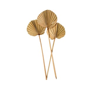 PALM SPEAR ROUND LARGE