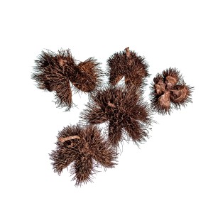 THORNY PODS BROWN-WHITE WASHED