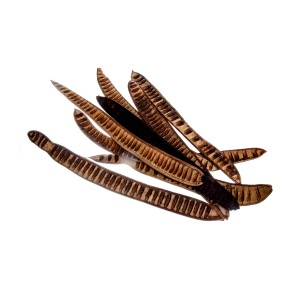 MACHETE STEP FRUIT LAKIEROWANY