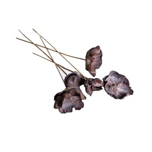 PALM CUP STICK WHITE WASHED