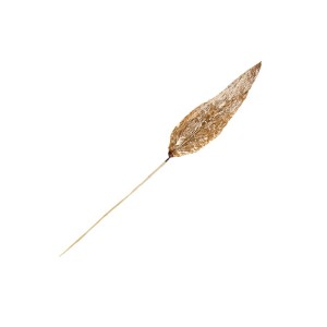 NUL LEAF STICK S-TIP - 50 cm