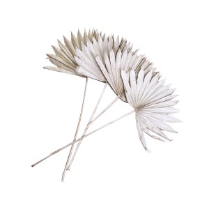 PALM SUN SPEAR PEARL WHITE