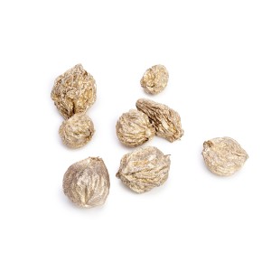 SANT FRUIT GOLD / PLATINUM