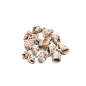 PRADEEP MINI WHITE WASHED