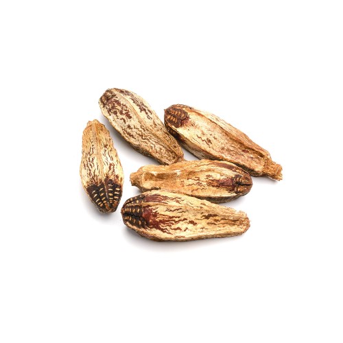 MEHOGANY - NATURE.jpg