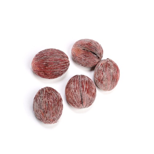 MINTOLA BALL - CZERWONY FLOK.jpg