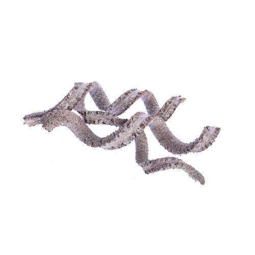 PALM COBRA - WHITE WASHED.jpg