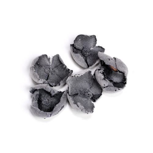 PALM CUP - CZARNY FLOK.jpg