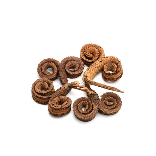 PALM RING : MALE.jpg