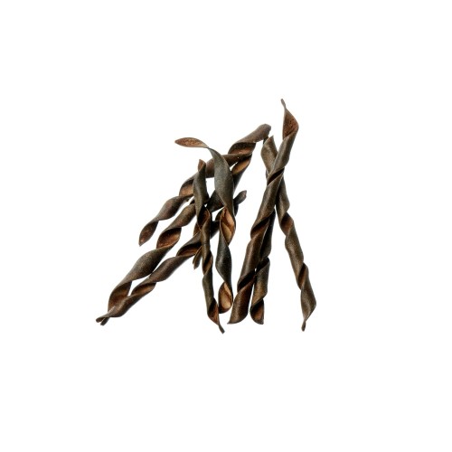 KANCHAN SPRING - NATURE.jpg