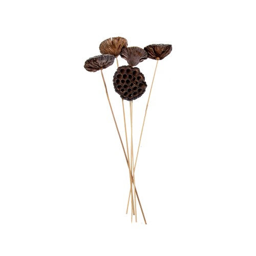 LOTOS LARGE - STICK.jpg