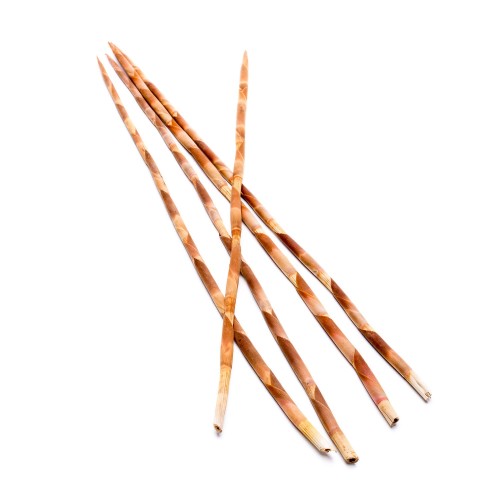 ASSEGAII - NATURE.jpg