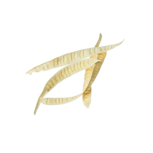 MACHETE STEP FRUIT - BLD.jpg