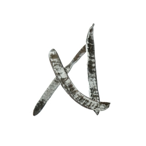 MACHETE STEP FRUIT - SNOW TIP.jpg