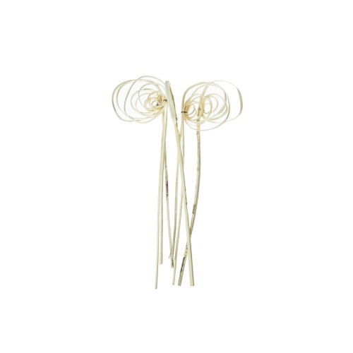 MINI CANE COIL - BLD.jpg