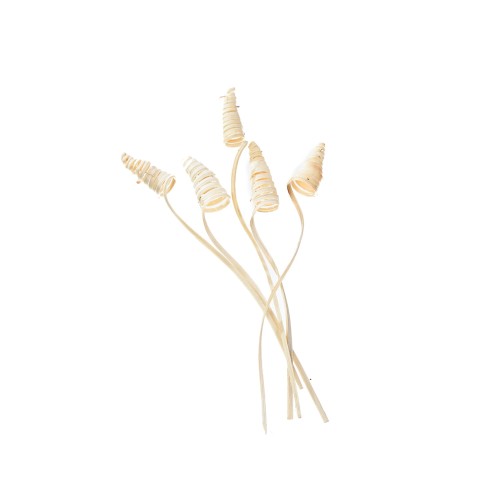 MINI CANE CONE - BLD.jpg