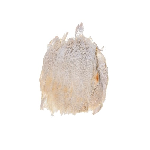 COCONUT SKIN - WYBIELANA.jpg