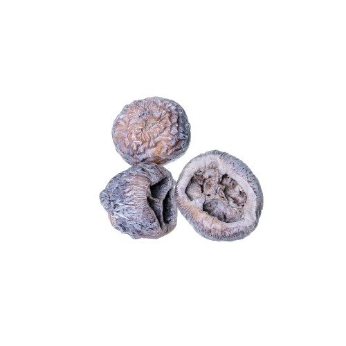 TALAMI - WHITE WASHED.jpg