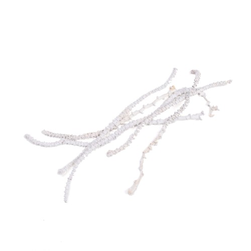 BANANA STEM - BIAŁY FLOK.jpg