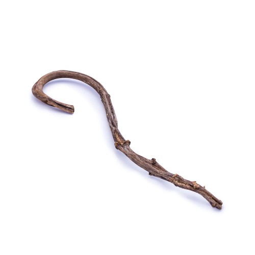 BANANA STICK - NATURE (2).jpg