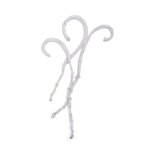 BANANA STICK - SREBRNY FLOK.jpg