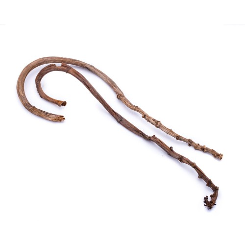 BANANA STICK - LAKIEROWANY.jpg