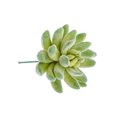 f459ef2c9be7a7d082adb09174c1fa32