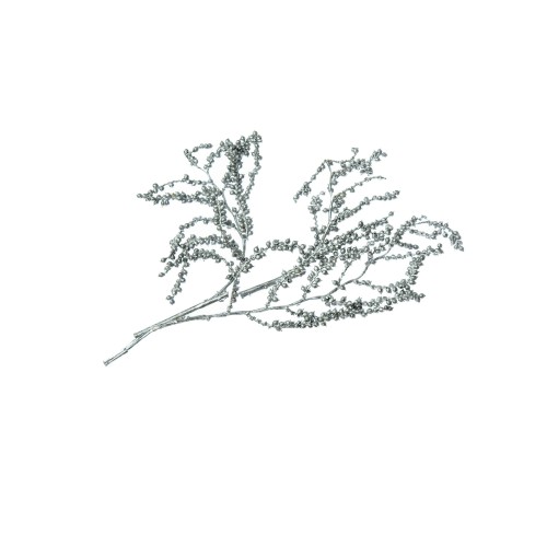 CANELLA - PEWTER.jpg