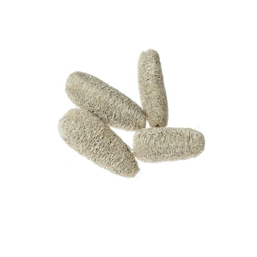 LUFFA - WHITE WASHED 10cm-15cm.jpg