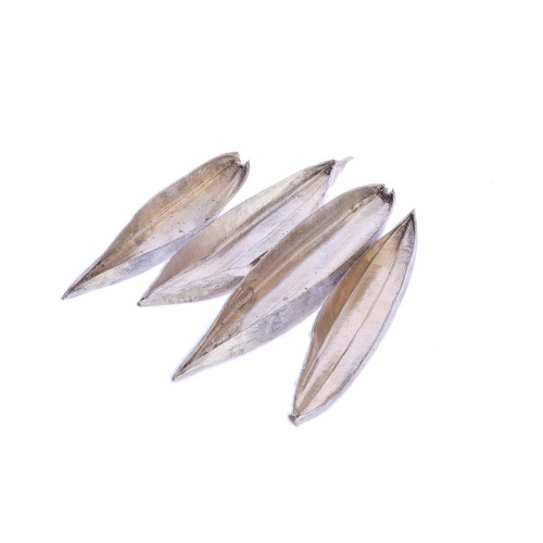 BOAT MINI - SZAMPAN.jpg