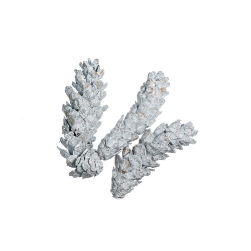 STROBUS - 15-20cm - SZARY + WW.jpg